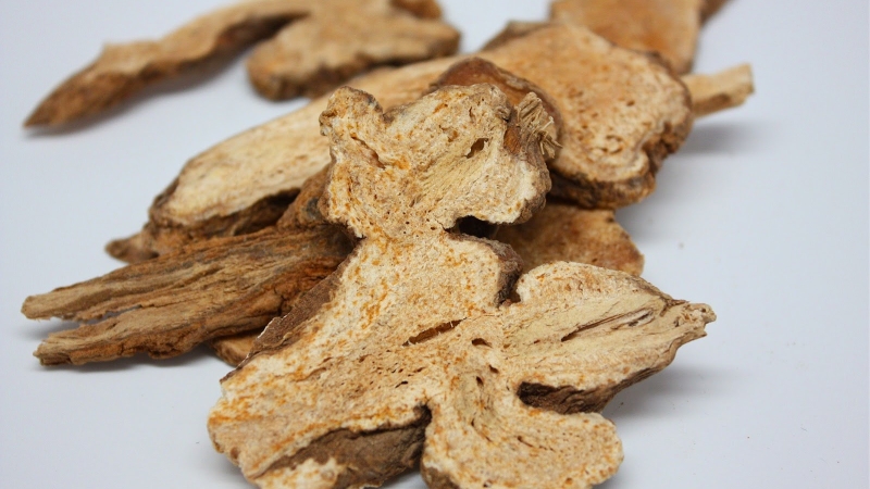 Tác dụng của cây huyết rồng và một số bài thuốc thường dùng 2