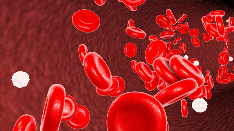 Tác dụng của dưa hấu với đàn ông là gì? 2