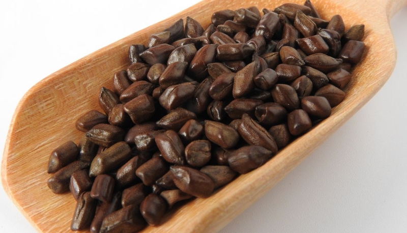 Khám phá tác dụng của hạt muồng với bệnh mỡ máu 1