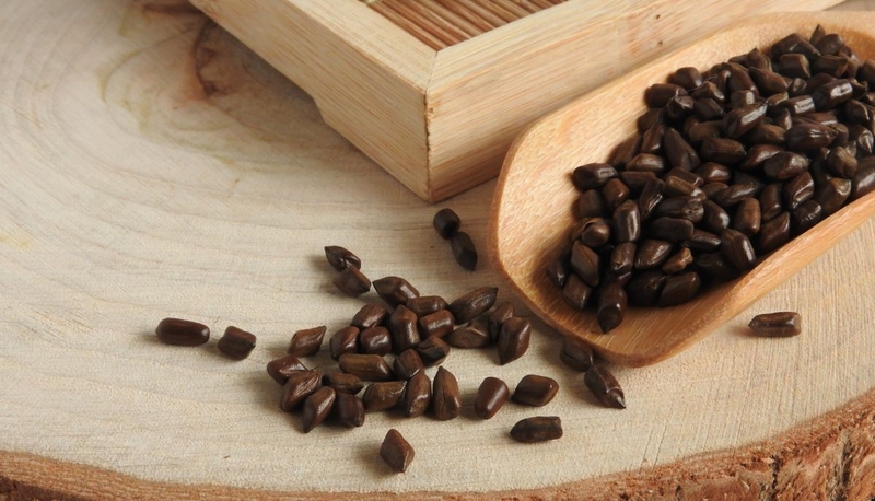 Khám phá tác dụng của hạt muồng với bệnh mỡ máu 2