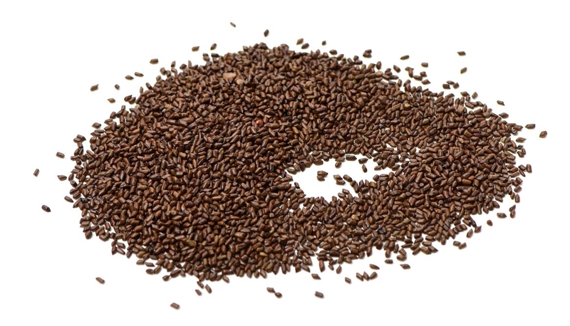 Khám phá tác dụng của hạt muồng với bệnh mỡ máu 3