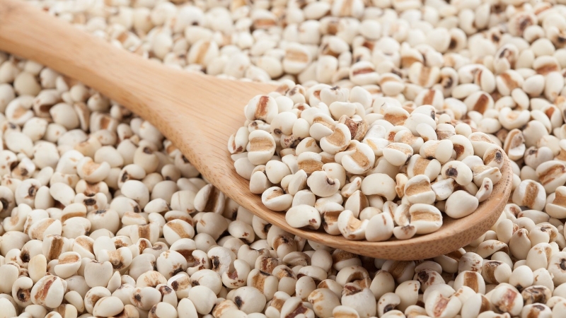 tac-dung-cua-hat-y-di-trong-lam-dep1