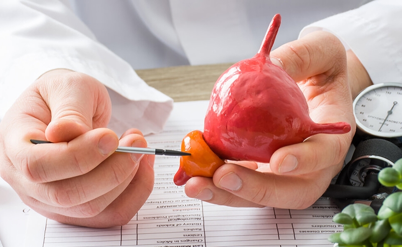 Tác dụng của măng tây với nam giới không thể bỏ qua - 3