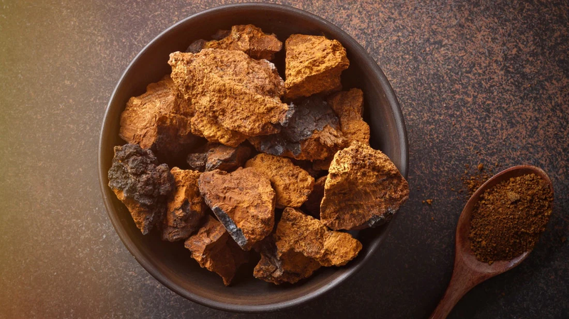 Tác dụng của nấm Chaga ngâm rượu không phải ai cũng biết 1