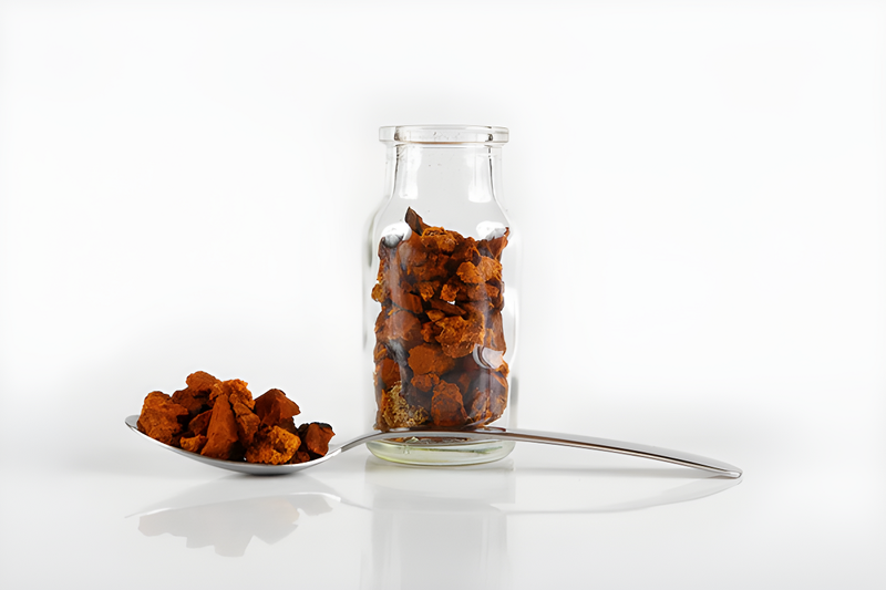 Tác dụng của nấm Chaga ngâm rượu không phải ai cũng biết 2