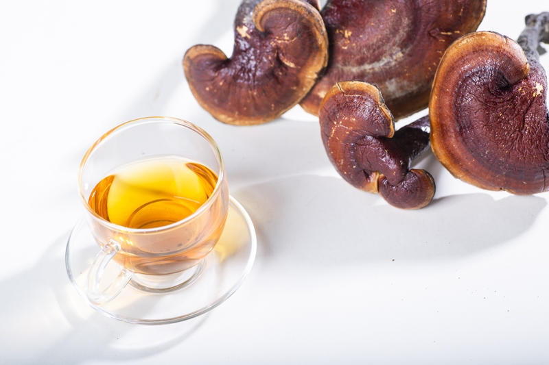 Tác dụng của nấm lim xanh với bệnh gan và cách dùng 3