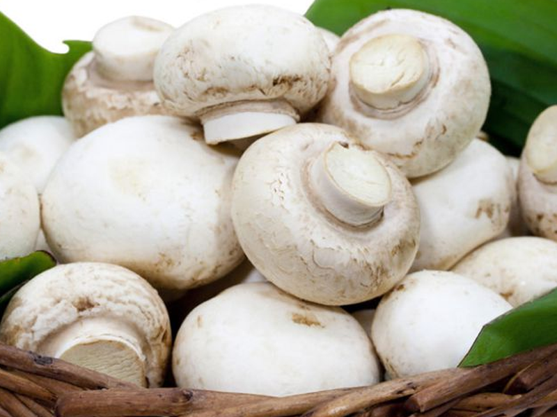 Tác dụng của nấm mỡ trong phòng ngừa ung thư vú như thế nào? 1