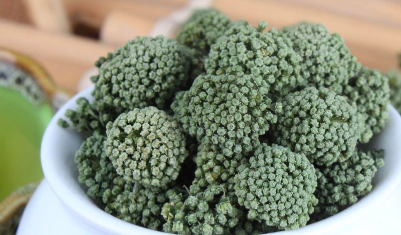 Tác dụng của nụ hoa tam thất? Cần lưu ý những gì khi sử dụng? 1