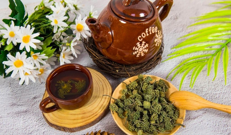 Tác dụng của nụ hoa tam thất? Cần lưu ý những gì khi sử dụng? 3