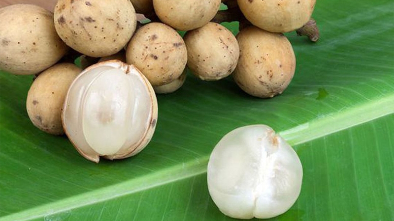 Quả bòn bon có hình tròn, vỏ dẻo, phần thịt có màu trắng đục, bên trong có khoảng 5 - 6 múi.