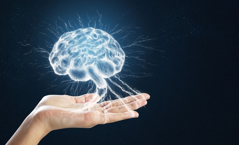 Tác dụng của thiền định đối với não bộ có thể bạn chưa biết 1