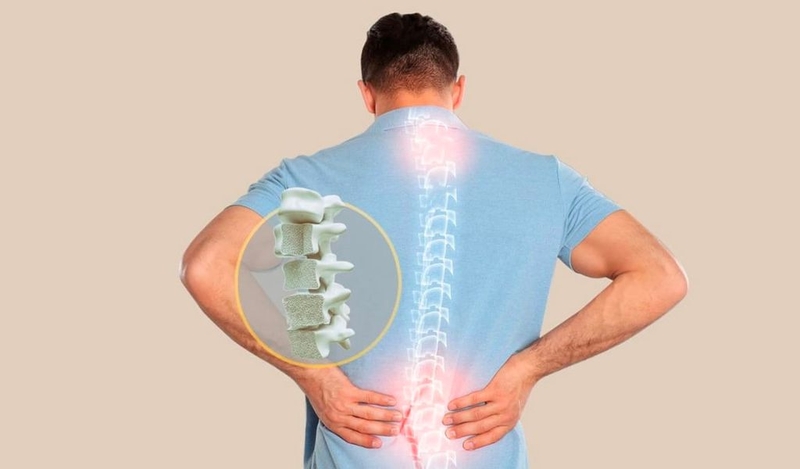 Tác dụng của thục địa? Cách làm thục địa ngâm rượu 2