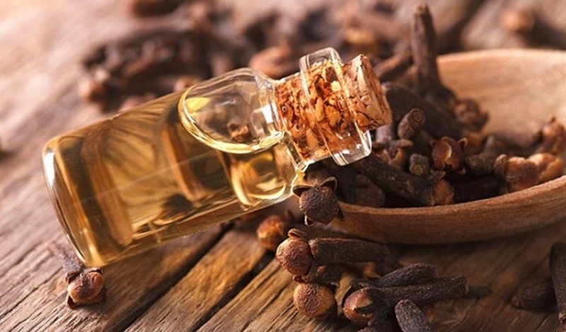 Tác dụng của tinh dầu đinh hương 2