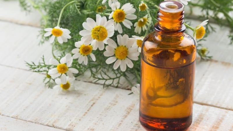 Tác dụng của tinh dầu hoa cúc bạn nên biết 1