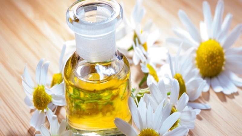 Tác dụng của tinh dầu hoa cúc bạn nên biết 3