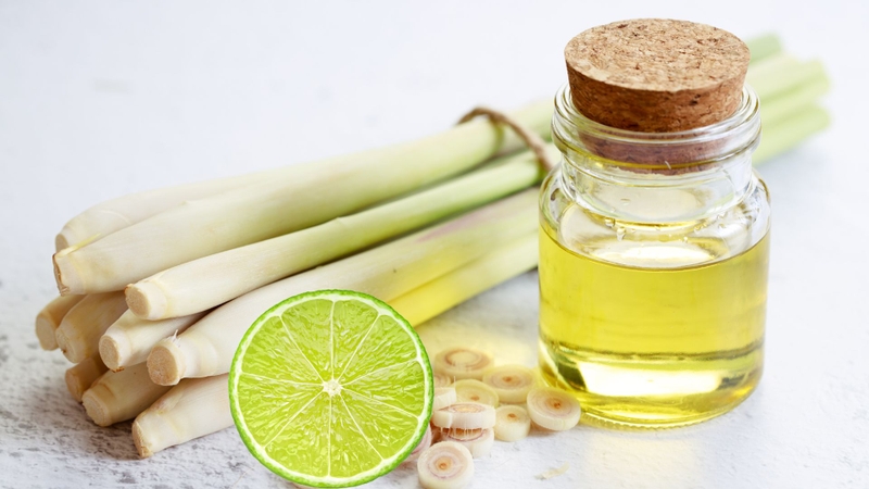 Tác dụng của tinh dầu sả chanh, bạn đã biết chưa?