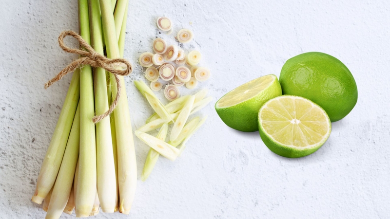 Tác dụng của tinh dầu sả chanh, bạn đã biết chưa? 3