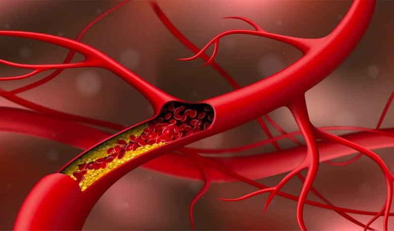 Tác dụng của tỏi đen với sức khoẻ bạn đã biết chưa? 2