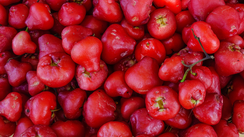 tac-dung-cua-trai-man-mien-nam-va-nhung-luu-y-can-thiet-khi-an-trai-man-mien-nam 6.png