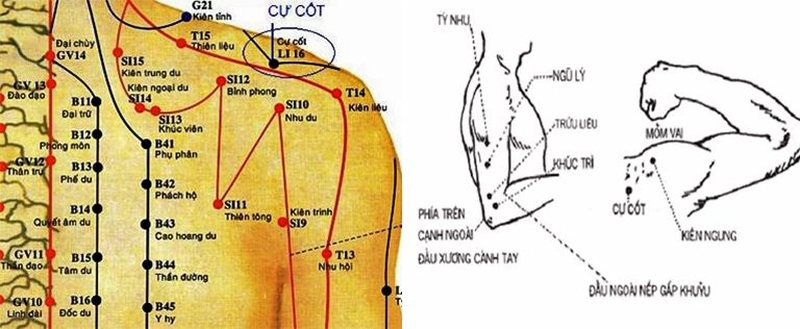 Tác dụng hỗ trợ điều trị bệnh của huyệt Cự Cốt là gì?1