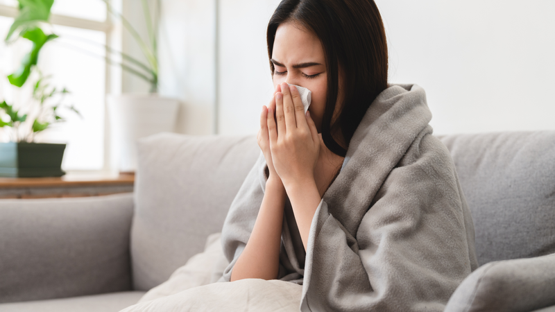 Đặc biệt, một trong những công dụng của rau tần ô là giải cảm, chữa ho rất hiệu quả