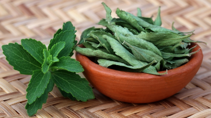 Tác dụng phụ của cây cỏ ngọt: Những điều cần biết trước khi sử dụng 2