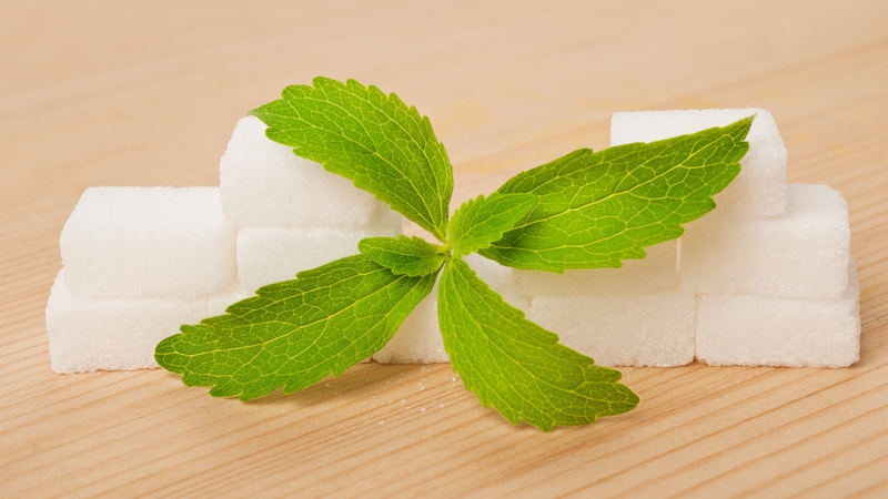 Tác dụng phụ của cây cỏ ngọt: Những điều cần biết trước khi sử dụng 5