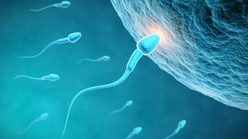 Tác dụng phụ của vitamin E khi sử dụng quá liều hoặc sai cách 2