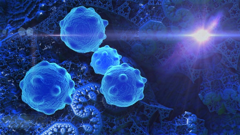 Tác dụng tuyệt vời của dầu gan cá mập đối với cơ thể 3