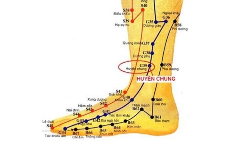 cách xác định huyệt huyền chung
