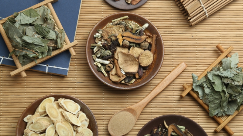 Lá cây huyết dụ được thu hái quanh năm, dùng tươi hoặc phơi khô