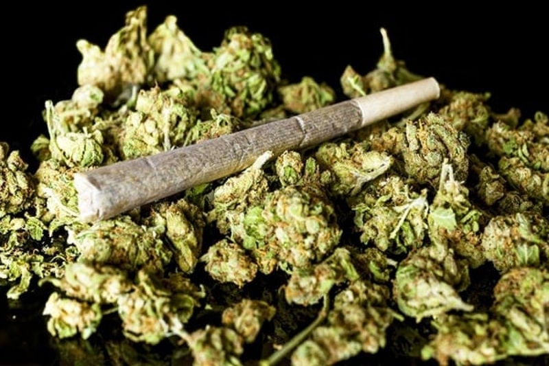 Tác hại của cần sa khi sử dụng trong thời gian ngắn và thời gian dài 1