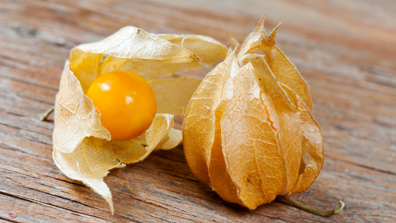 Hiểu rõ về những tác hại của cây thù lù là điều cần thiết để bảo vệ sức khỏe
