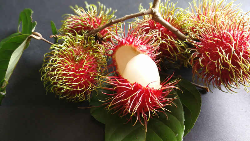 Tác hại của chôm chôm? Những lưu ý khi ăn loại quả này 3