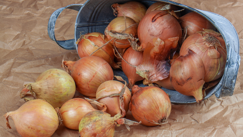 Tác hại của hành tây: Cảnh báo 6 tác động tiêu cực của hành tây đối với sức khỏe 1
