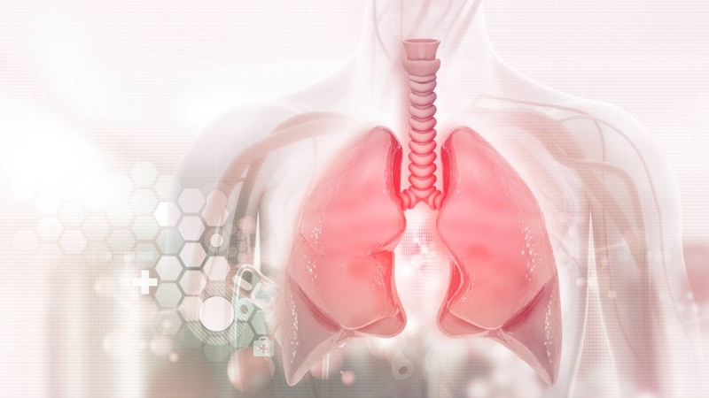 Tác hại của HIV/AIDS và cách phòng tránh nhiễm bệnh 2