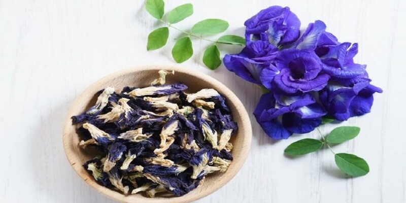 Tác hại của hoa đậu biếc đối với người trưởng thành