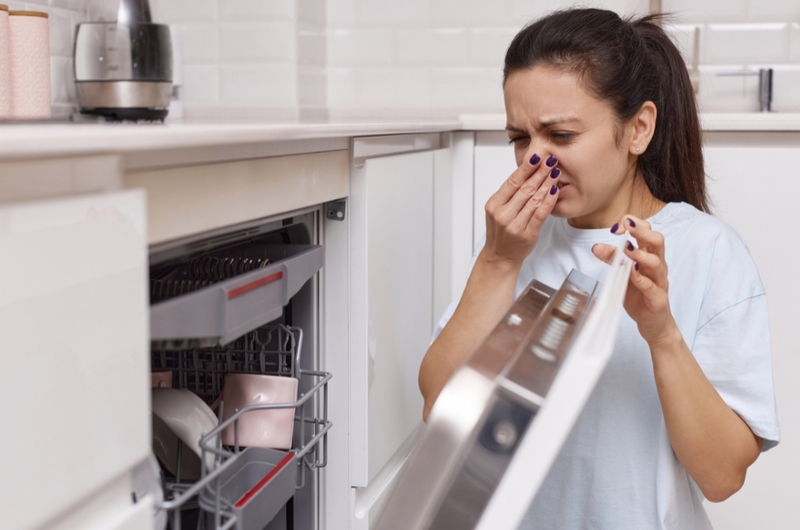 Thực hư tác hại của máy rửa bát? Có đáng lo như nhiều người vẫn nghĩ 3