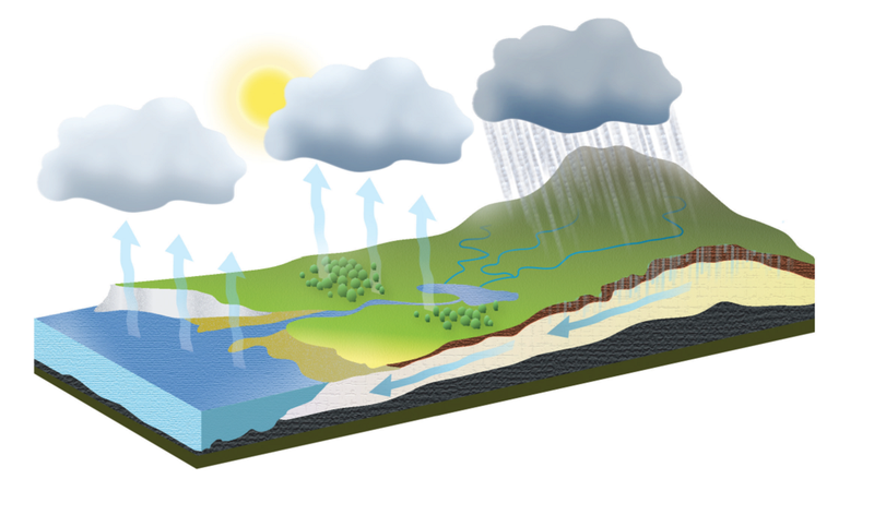 Tác hại của nước cứng đối với đời sống con người là gì? 2