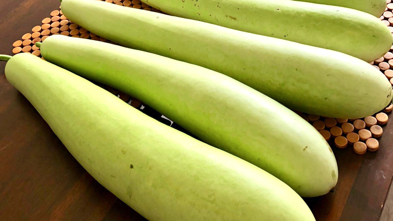 Tác hại của quả bầu: Thực phẩm dinh dưỡng nhưng cũng tiềm ẩn nhiều rủi ro sức khỏe 2