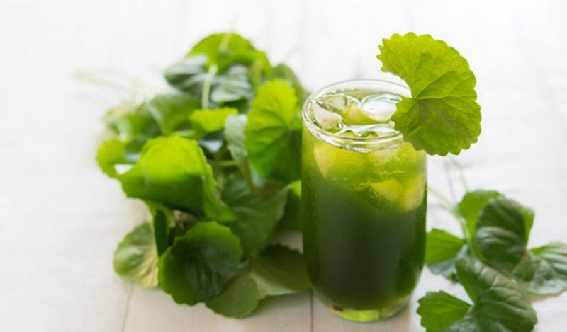 Tác hại của rau má khi dùng sai cách bạn không nên bỏ qua 3