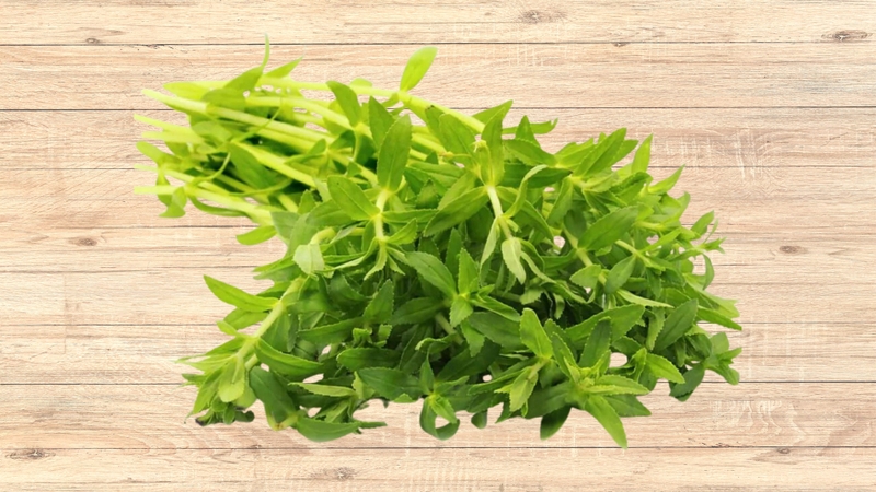 Tác hại của rau ngổ: Những điều cần biết để sử dụng an toàn 1