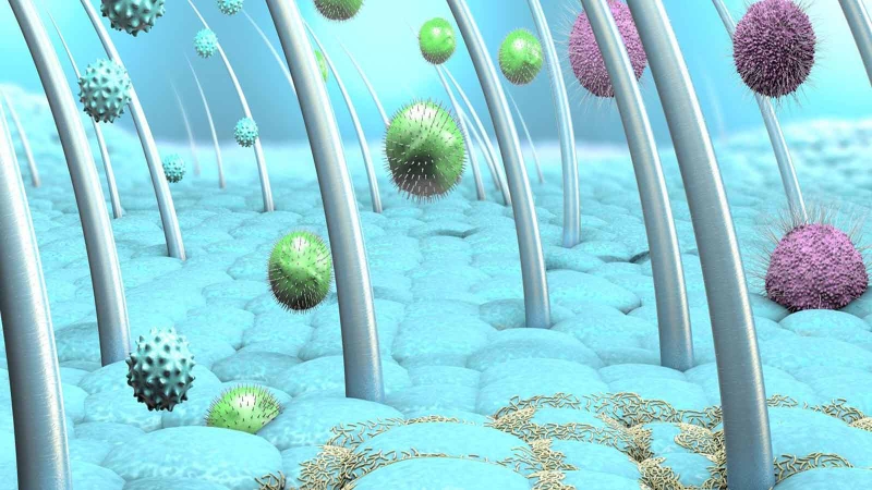 Tác hại của vi khuẩn đối với sức khỏe và những điều cần lưu ý 3