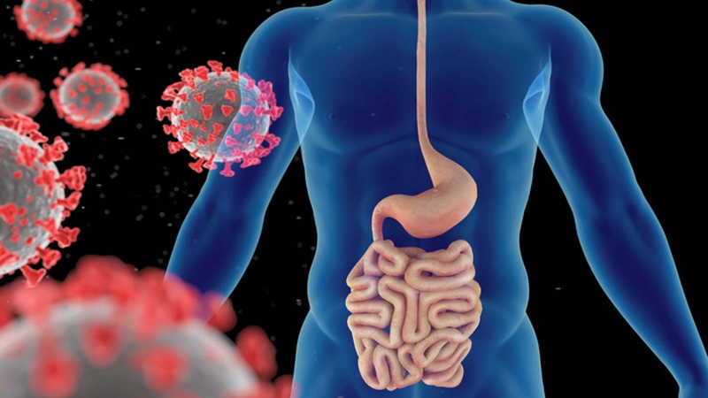 Tác hại của vi khuẩn đối với sức khỏe và những điều cần lưu ý 4