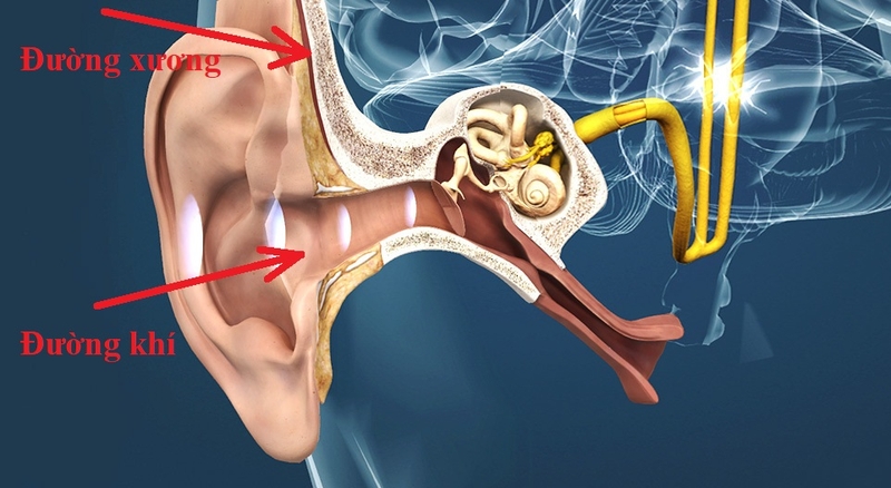 tác hại của việc đeo tai nghe nhiều 1