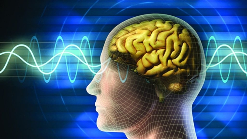 Tác hại của việc nghe nhạc sóng não và những lưu ý cần biết 1