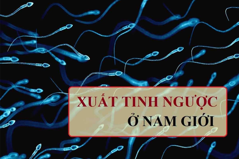 Tác hại xuất tinh ngược dòng. Nguyên nhân gây nên xuất tinh ngược dòng ai cũng nên biết 1