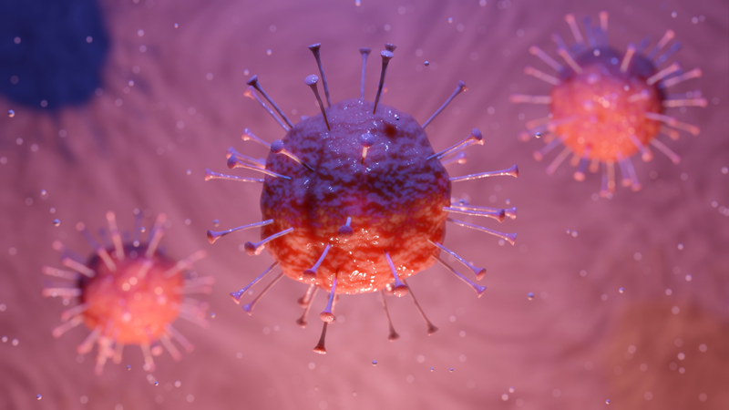 Virus Dengue là tác nhân gây bệnh sốt xuất huyết