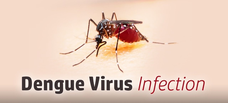 Đâu là tác nhân chính gây ra bệnh sốt xuất huyết?