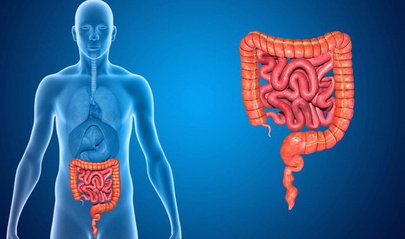 Tắc ruột non đơn thuần: Nguyên nhân, triệu chứng, chẩn đoán và điều trị 1